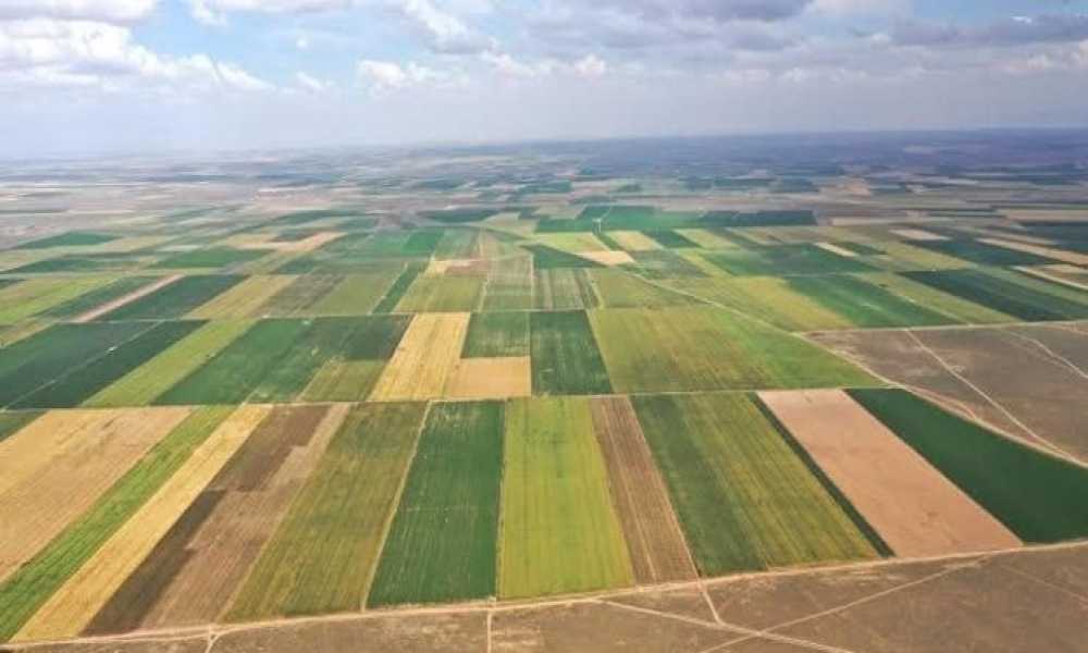 Tabulaştırmanın akıbeti merak ediliyor