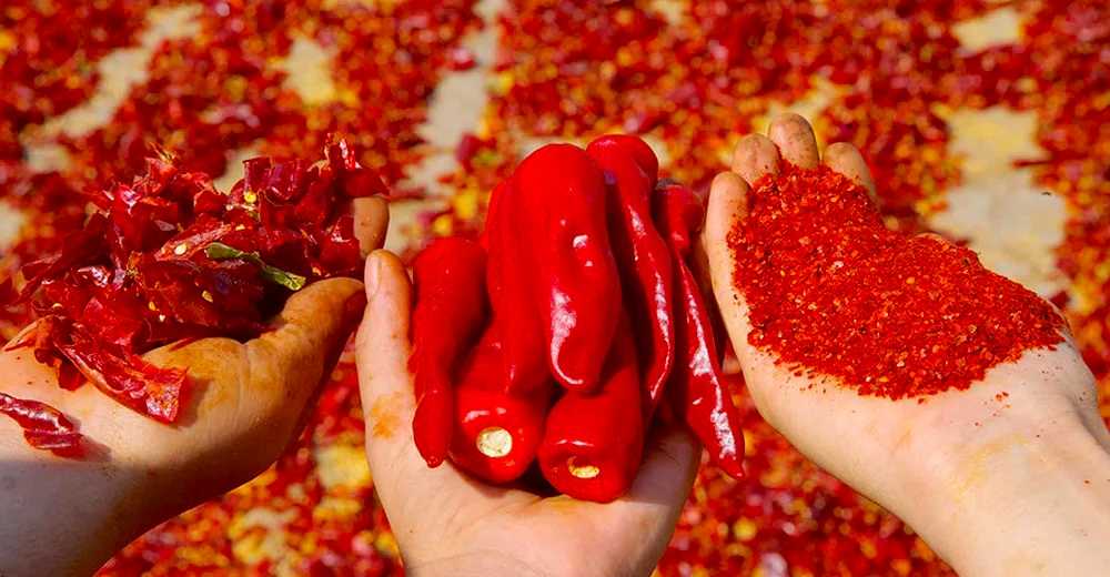 Pul bibere gelen zamlar vatandaşın cebini de yaktı...