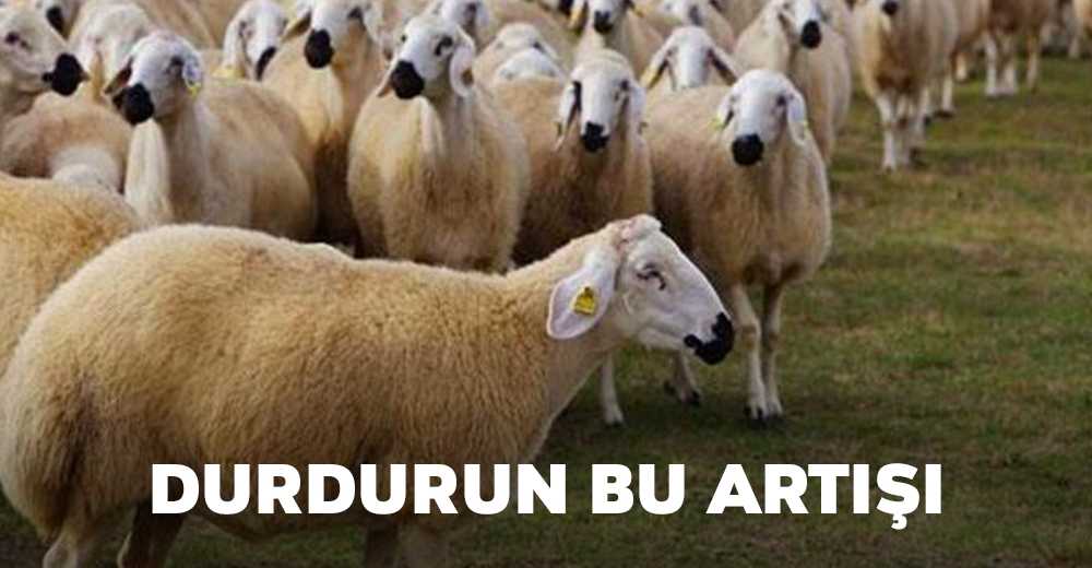 Durdurun bu artışı!