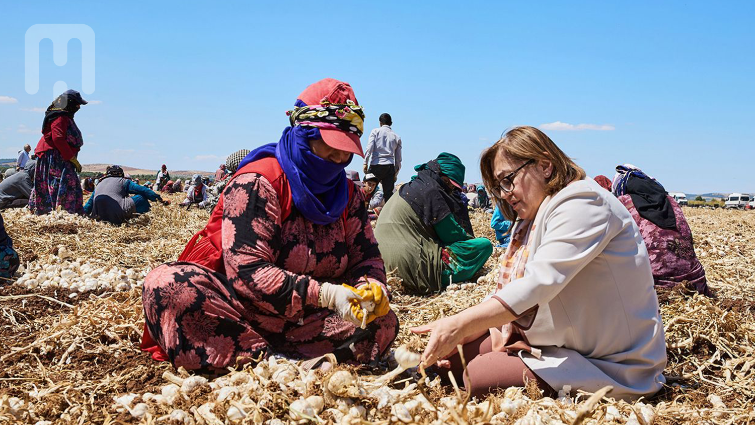 Büyükşehir'den tarıma büyük destek