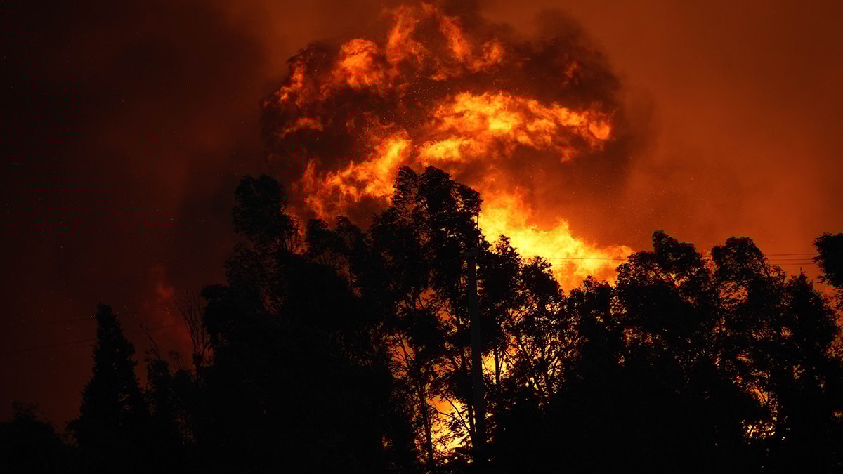 Türkiye alev alev... 