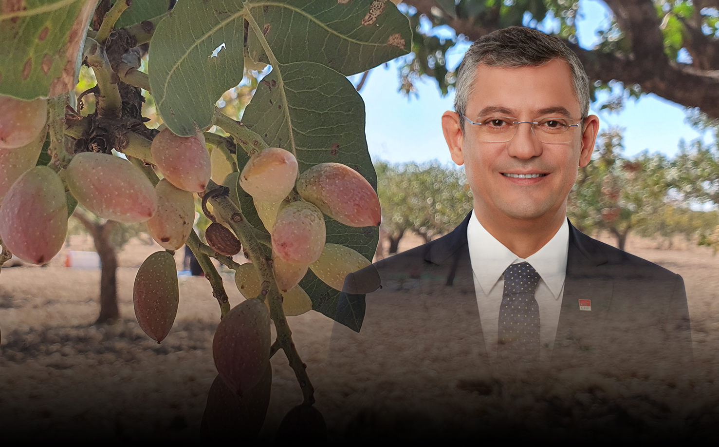 Gaziantep Fıstık Mitingine hazır