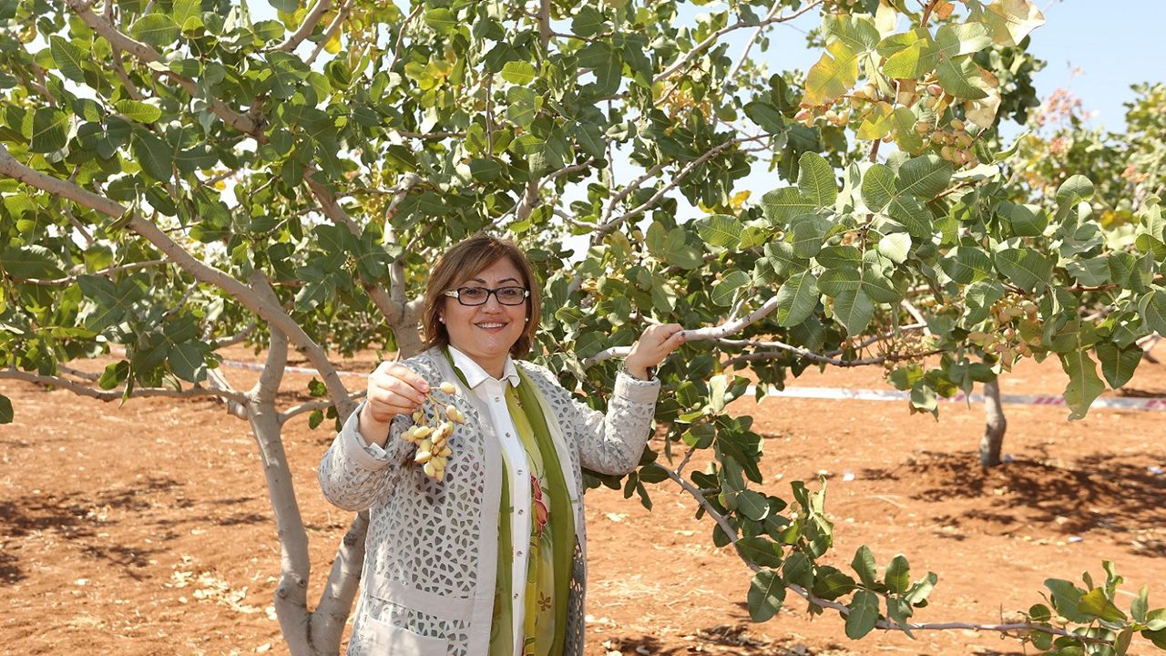 Büyük Festival 14 Eylül'de