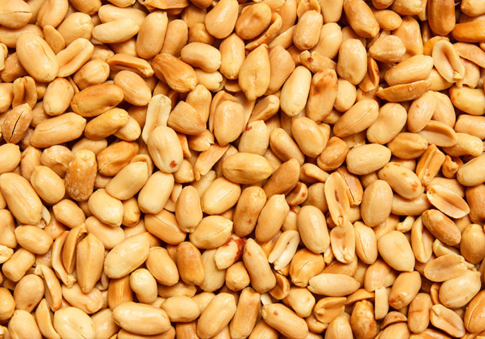 Unutkanlığı yavaşlatın: Uzmanlar, hafızayı güçlendiren günlük dozu açıkladı