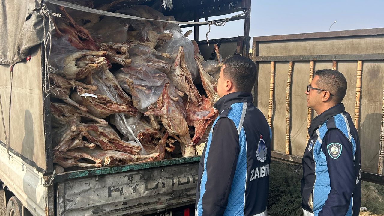 Kamyonet kasasında bozuk et şoku