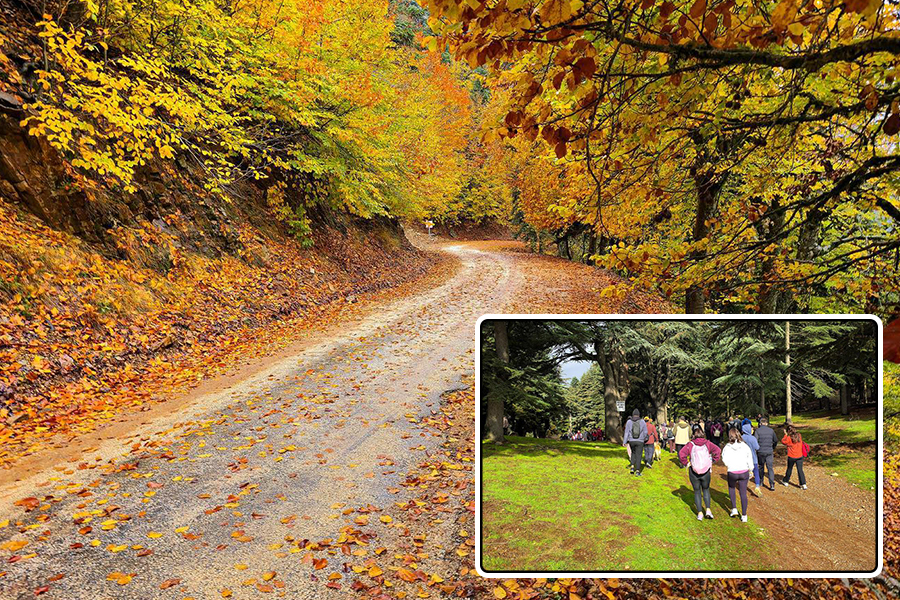 İslahiye - Huzurlu Yaylası