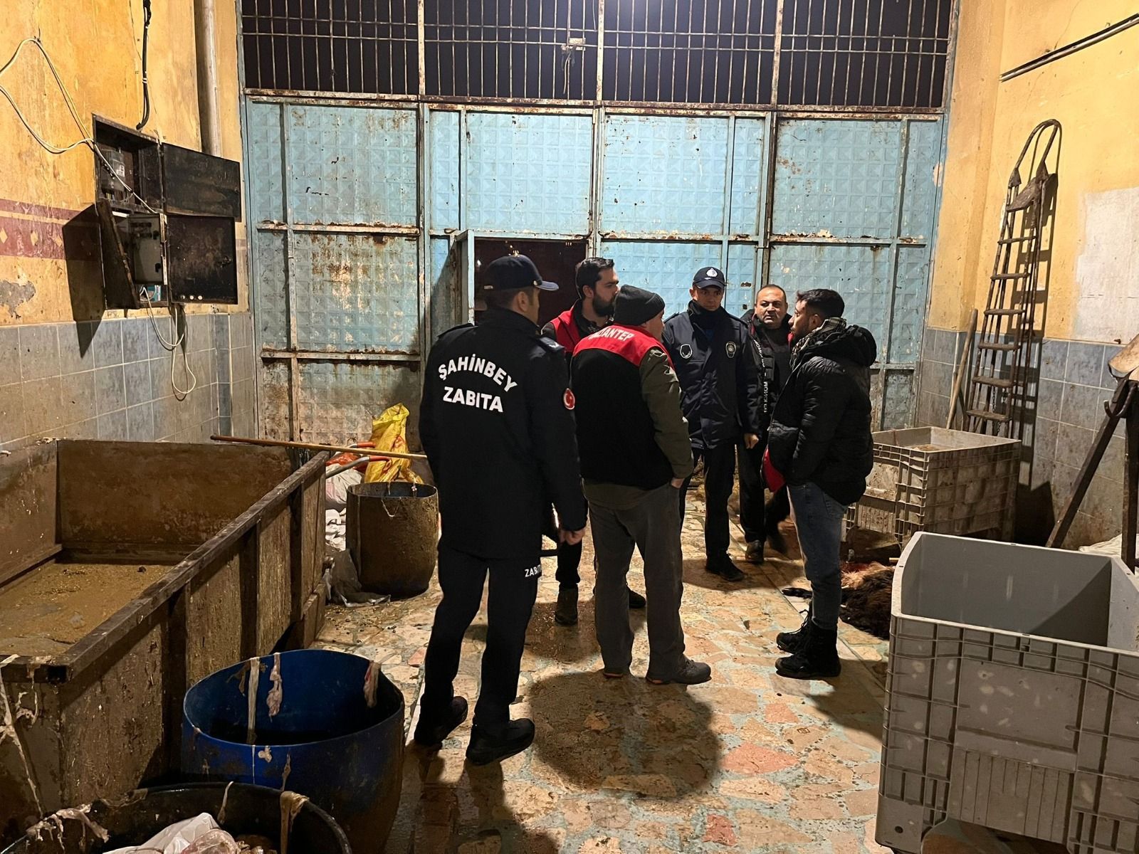 Farelerin Gezdiği Ruhsatsız İşletmeye Büyük Ceza